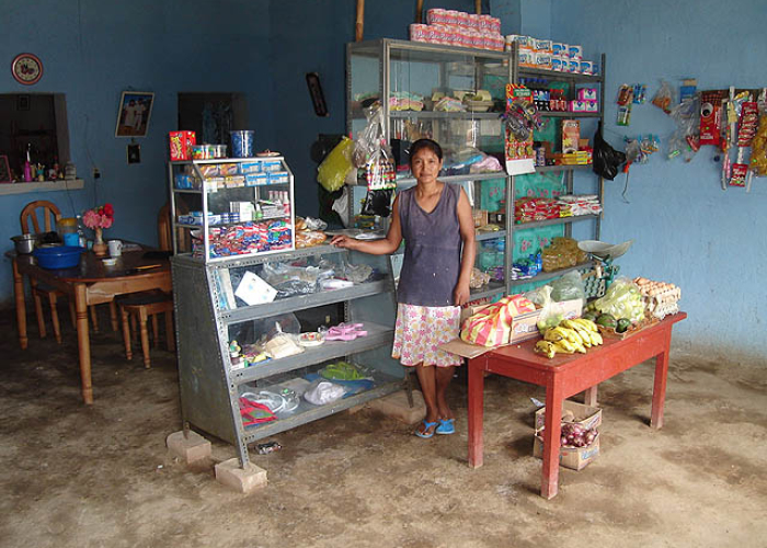 Abarrotes y alimentos son los micronegocios que más emprenden las familias receptoras de remesas.