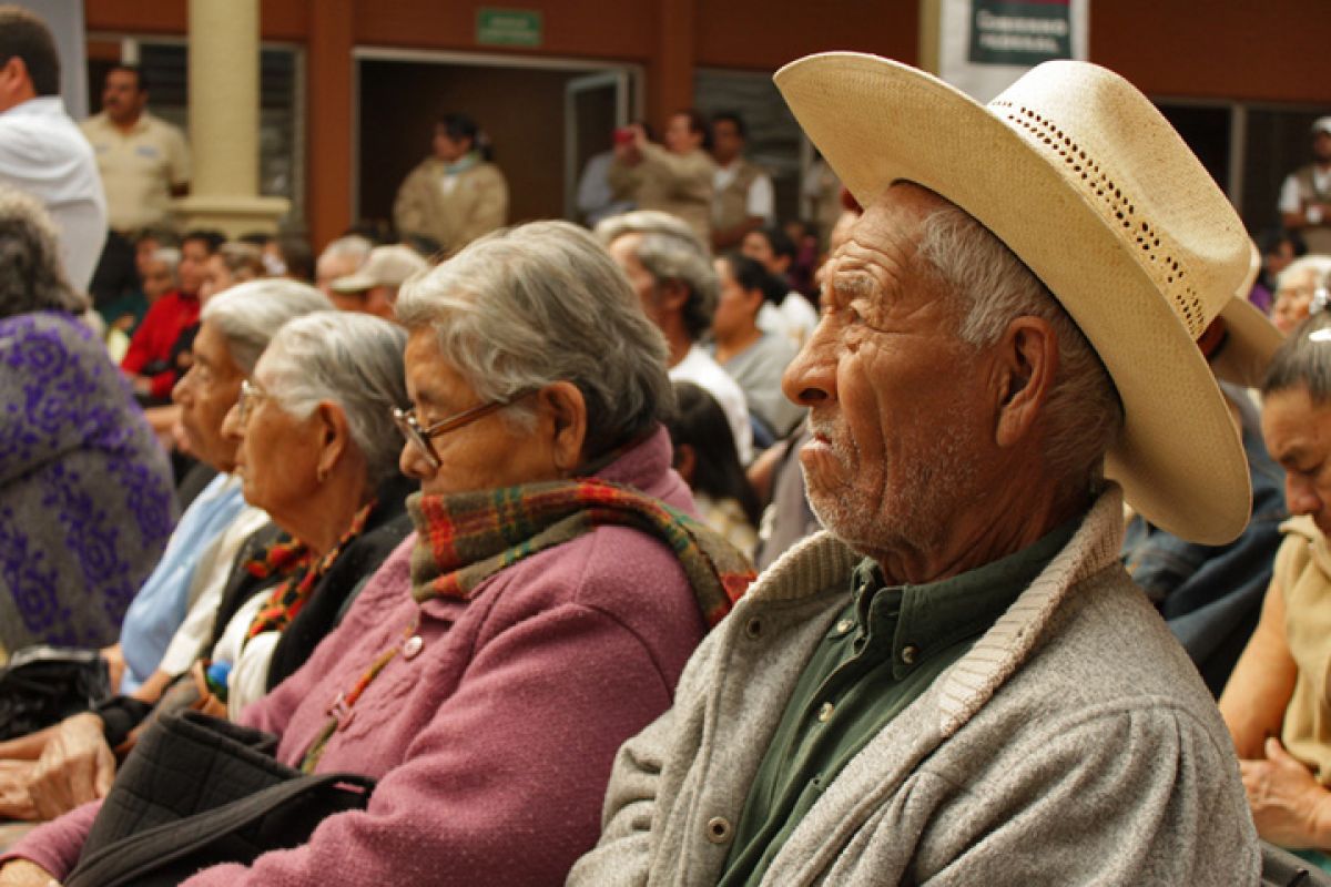 Más de 7.6 millones de mexicanos tienen 65 años o más, y cerca de 5.6 millones carecen de pensión alguna. Más de 7.6 millones de mexicanos tienen 65 años o más, y cerca de 5.6 millones carecen de pensión alguna.