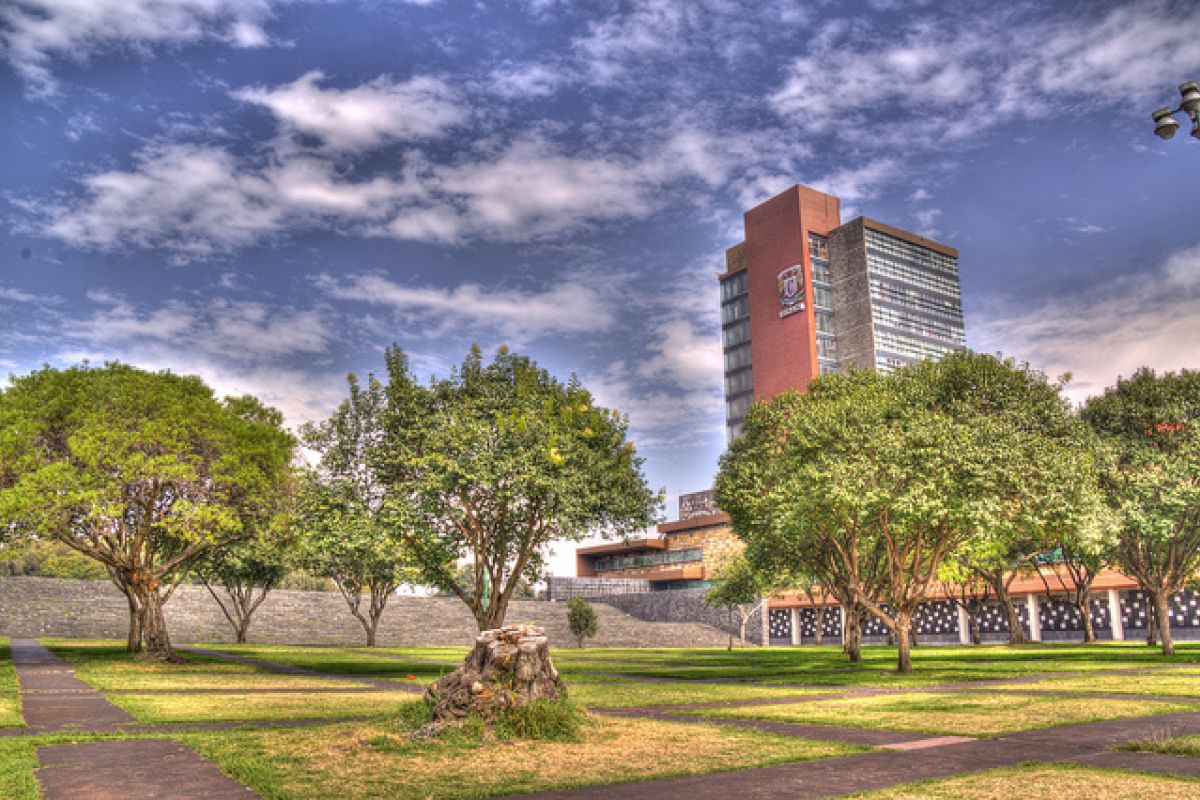 Alumnos, profesores, trabajadores y autoridades de la UNAM conocen los lugares donde diversos delitos se cometen con regularidad. Alumnos, profesores, trabajadores y autoridades de la UNAM conocen los lugares donde diversos delitos se cometen con regularidad.