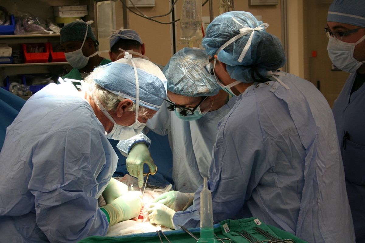 donacion de organos El Senado de la República aprobó las modificaciones a la Ley General de Salud con respecto ala donación de órganos