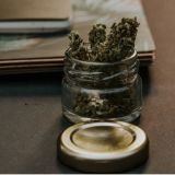 De aprobarse la ley, toda persona tendrá derecho a portar hasta 30 gramos de cannabis.