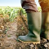 La sequía ha azotado estados agrícolas como Sinaloa -principal productor de jitomate del país- Guanajuato, Guerrero, Oaxaca y Michoacán (Foto: Senado de la República)