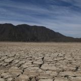 Junto con la sequía, los cultivos deben enfrentar mal uso de agua y lluvias más intensas (Foto: Gobierno de México)