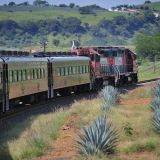 La titular de SE dijo que el cambio al tren respondería a un deseo de diversificación (Foto: Senado de la República)