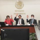 Sesión de la Comisión del Trabajo y Previsión Social del Senado. (Foto: Cámara de Senadores)