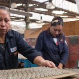 La tasa de desocupación alcanzó su menor nivel desde 2005. (Foto: Gobierno de México)