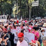 Marcha ciudadana en la Ciudad de México el domingo 13 de noviembre (Foto: Especial)