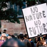 Marcha a favor del medio ambiente, septiembre 2019 (Foto: Pexels)