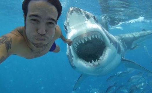 Tan sólo en 2015 murieron más personas por selfies que por tiburones, 12 contra ocho.