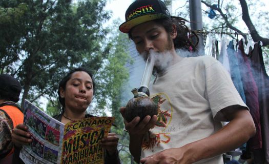 8.6 de los mexicanos han consumido mariguana, al menos una vez en su vida.