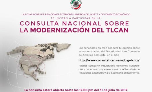 El propósito de la consulta es conocer las inquietudes de los mexicanos 