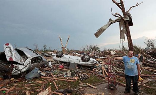 Surgen proyectos para frenar los efectos del cambio climático. 