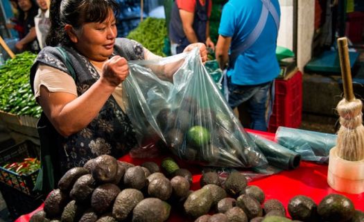 El aguacate llegó a los 70 pesos o más en el año, difícil de adquirir para los 7.5 millones de personas que ganan un salario mínimo diario por 80.04 pesos.