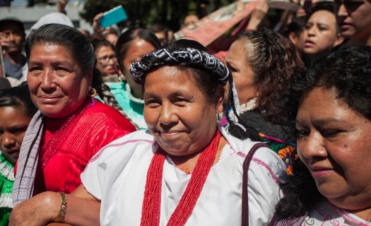  “La candidata indígena” mencionó que sí buscará el voto pero que ocupará el tiempo de proceso para desmantelar el sistema capitalista.