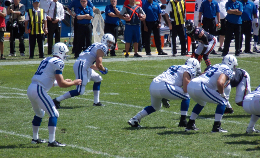 Colta de Indianapolis. Foto: Colts/Wikimedia