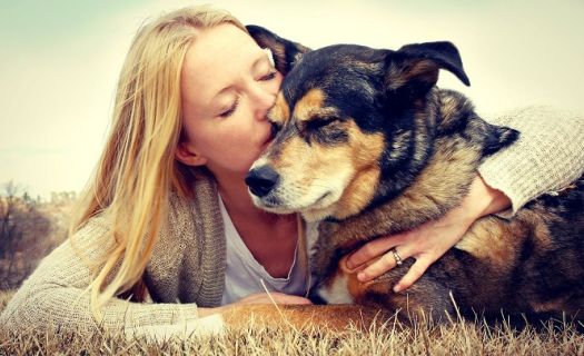 Besar a tu perro puede matarte. El Dr. Masahiko Nakamura realizó una investigación en donde demuestra los daños que provoca besar a tus mascotas en la boca.