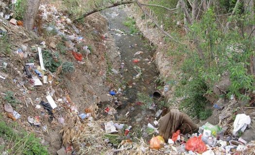 Cada año se vierten en los mares más de 8 millones de toneladas de plásticos.