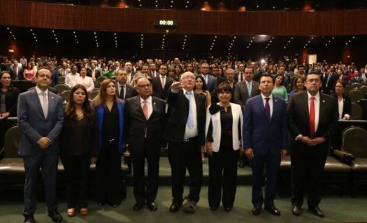 Este 15 de marzo 377 votos a favor le dieron el cargo a David Colmenares, quien se encargará de fiscalizar los último dos años del gobierno de Enrique Peña Nieto. Foto:diputada Alicia Barrientos.