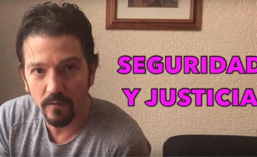 Foto: Diego Luna / Captura de Pantalla