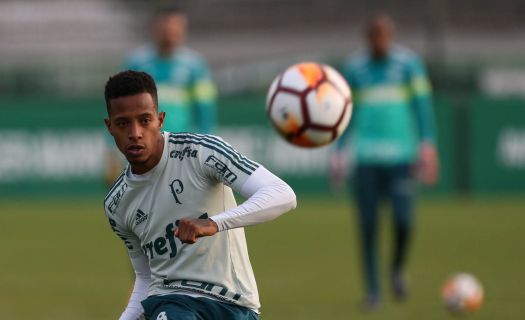 Palmeiras vs atlético junior