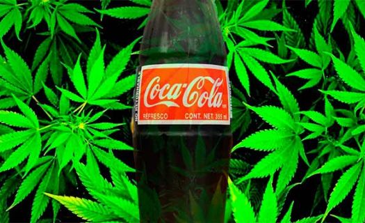 Las ventas de bebidas en EU dirigen a Coca Cola más por el lado del café que de la marihuana.