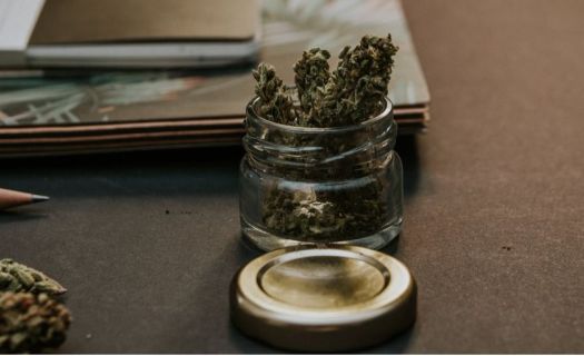 De aprobarse la ley, toda persona tendrá derecho a portar hasta 30 gramos de cannabis.