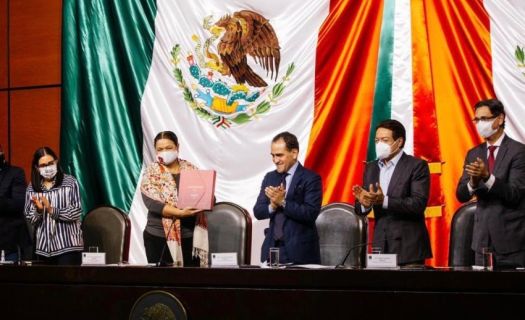 El secretario de Hacienda, Arturo Herrera, en la ceremonia de entrega del Paquete Económico 2021 en la Cámara de Diputados (Foto: Twitter)