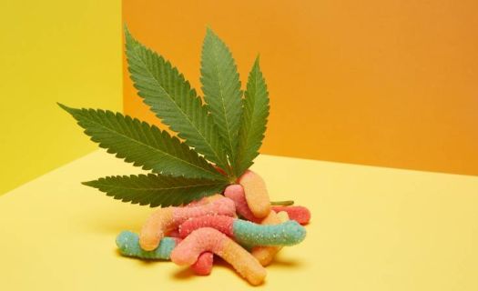 Gomitas de cannabis ya se comercializan en diversas marcas y diferentes países (foto: Wana Brands)