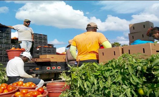 La tasa de desocupación alcanzó el 17.1% entre los mexicanos en EU. (Foto: Gobierno de México)