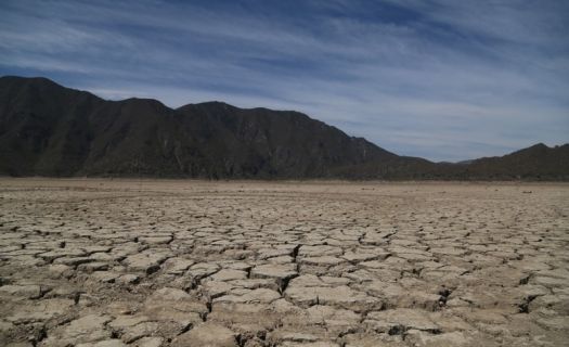 Junto con la sequía, los cultivos deben enfrentar mal uso de agua y lluvias más intensas (Foto: Gobierno de México)