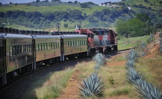 La titular de SE dijo que el cambio al tren respondería a un deseo de diversificación (Foto: Senado de la República)