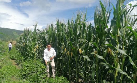 Para los productores, el precio de los fertilizantes ha aumentado casi 33% desde 2020 (Foto: Gobierno de México)