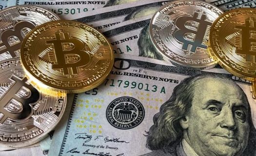 El desplome de Bitcoin, motivado por cambios en el criptosector, así como en la política monetaria estadounidense, arrastró al resto de las criptomonedas (Foto:Pexels)