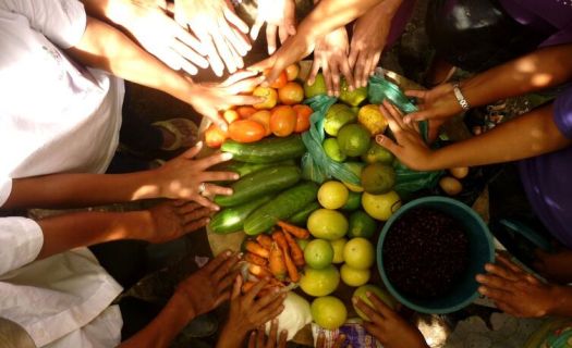 La FAO insta a México a priorizar las inversiones públicas en agricultura teniendo también en cuenta la nutrición. (Foto: Gobierno de México)