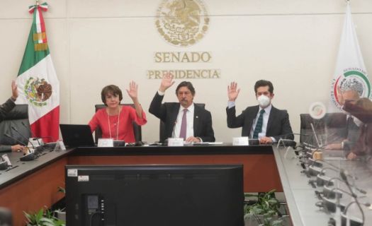 Sesión de la Comisión del Trabajo y Previsión Social del Senado. (Foto: Cámara de Senadores)