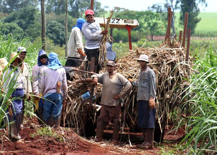 Agricultura y comercio motivaron el avance de 1.7% anual en julio.