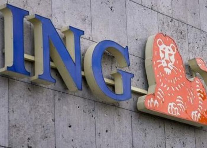 También se han presenciado desinversiones en el sector asegurador como la del Grupo Financiero ING.