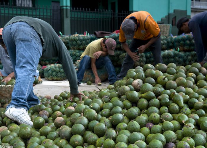 Exportaciones aumentaron 29% de enero a junio del 2014 a comparación anual