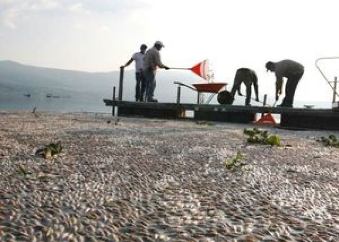 Semadet declaró la zona en contingencia ambiental y determinó un perímetro para evitar la cercanía de la población a la zona de extracción.