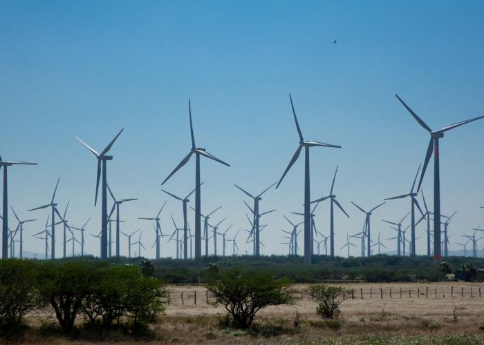 El parque eólico producirá energía suficiente para el consumo de 125 mil  hogares mexicanos y evitará la emisión de 206 mil toneladas de CO2.