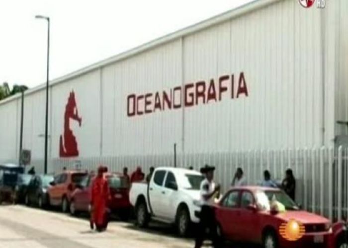 Oceanografía, propiedad de Amado Yañez, continuará en venta mediante proceso mercantil.