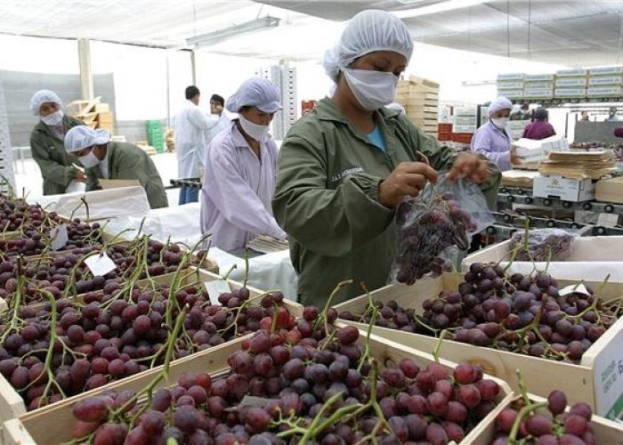 América del sur guarda una gran dependencia hacia las importaciones de materias primas.