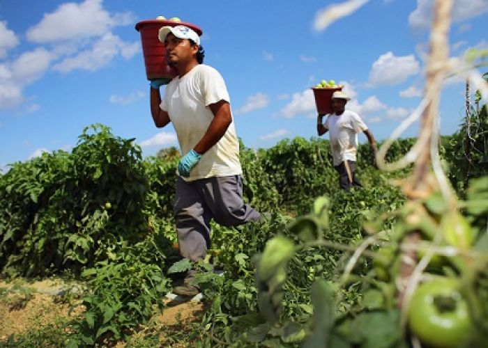 Aunque los precios de la agricultura son los que menos inciden en el resto, fueron los que más se elevaron en febrero pasado.