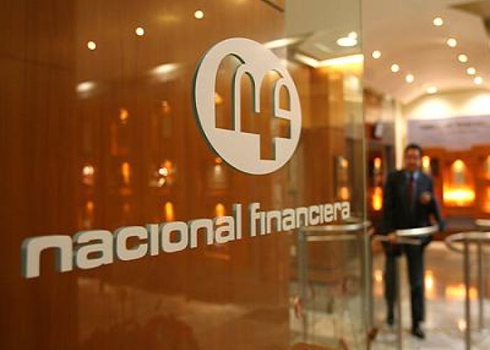 La cartera de financiamiento canalizada desde las 11 instituciones de desarrollo al sector público federal ascendió a 176.6 mil millones de pesos en febrero de 2015.