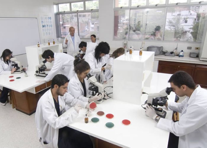 México "es el país que más pantallas produce en el mundo, pero no tenemos el know how de la tecnología”, dijo el director del Consejo Nacional para Ciencia y Tecnología (Conacyt), Enrique Cabrero.