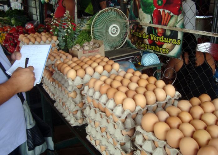 En junio los productos que más redujeron sus precios, respecto a mayo, fueron el huevo con 4.75%; el pollo con 1.22%, mismos que incidieron en el INPC de 0.17%.