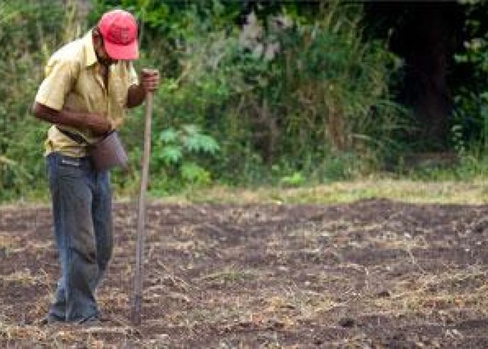 Las economías más grandes del país, crecieron en conjunto 1.5% anual en el primer trimestre, con lo que fueron los que menos aportaron al crecimiento nacional