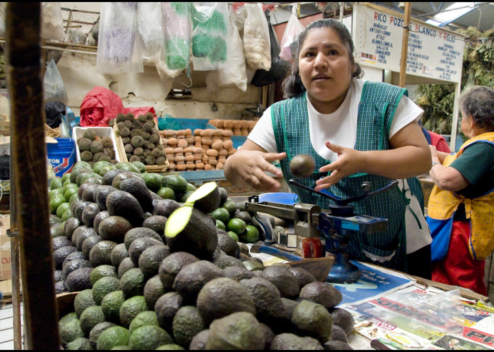 El precio del aguacate fue el qué más incidió en la inflación con un alza mensual de 47.6% en junio.