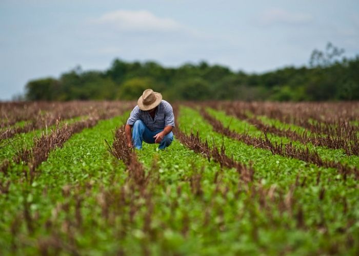 La producción mexicana para la exportación ha sabido diversificarse y adaptarse para seguir el ritmo de las nuevas demandas globales.