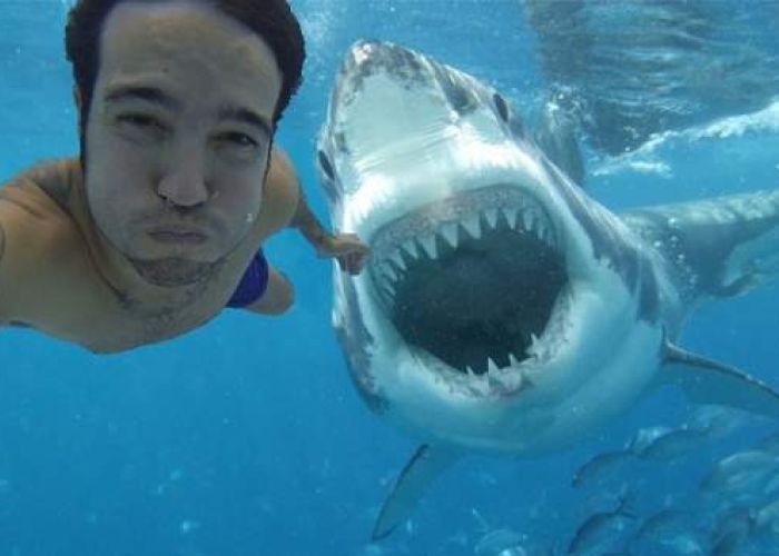 Tan sólo en 2015 murieron más personas por selfies que por tiburones, 12 contra ocho.